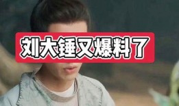 刘大锤今日直播爆料,今日热点事件幕后真相