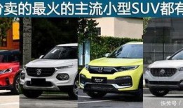 信阳爆料新闻电话,揭秘本地热点事件背后的真相